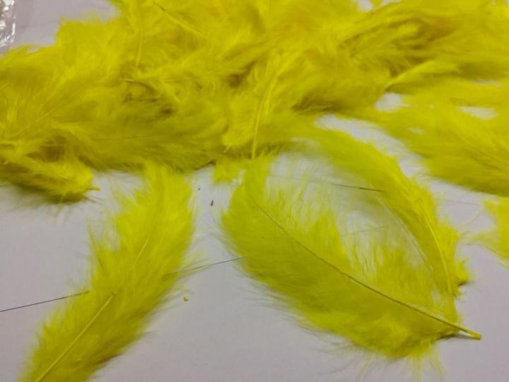 Feathers%20-%2025pcs%20Pack%20-%20Image%202