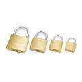 padlock globe gold. 