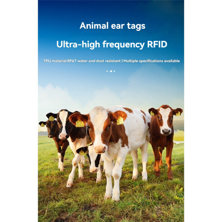 RFID UHF Animal Ear Tag 860-960MHz 100pcs Electronic Ear Tag for Pig ...