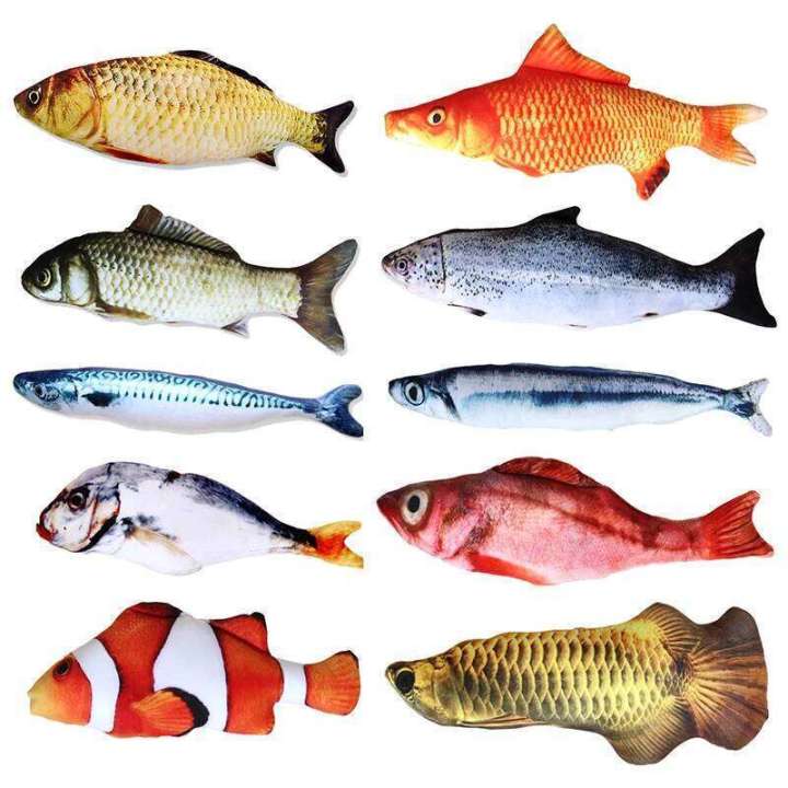 20/30/40cm Creative Simulation Crucian carp Fish Grass Carp Salted fish Cute Cartoon Cat Plush Pillow Toy Gift