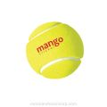 Mango Tennis Ball - 01 nos. 