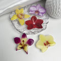 Orchid Phone Stand Simulated Flower Phone Holder Foldable Desktop Holder Fashion Style Internet Celebrity Tool. 