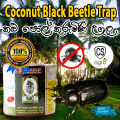 Natural Insect Control Pheromone Coconut Black Beetle Trap Refill. 