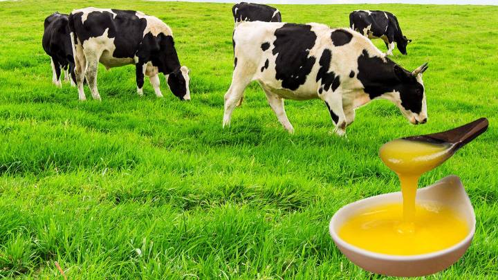 Organic Pure Cow Ghee - Healthy Cooking Ghee Butter (180ml)