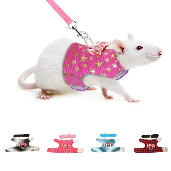 Safety Outdoor Adjustable Pet Squirrel Hamster Vest Harness Leash Leads Chest Strap