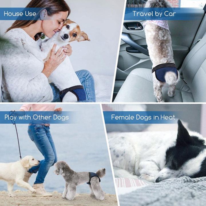 Pet%20Safety%20Panties%20Dog%20Diaper%20Clothes%20Female%20Dog%20Physiological%20Pants%20Protective%20Trousers%20Washable%20Adjustable%20Dog%20Menstrual%20Pants%20-%20Image%207