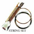 COMPLETE INDIAN ISRAJ / ESRAJ STRING SET - FULL BRONZE & STEEL METAL STRINGS. 