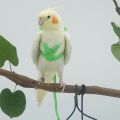 Budgie For Small Medium Birds Adjustable Outdoor Rope With Wing Bird Harness Bird Nylon Flight Training Rope Bite Bird Traction Belt. 