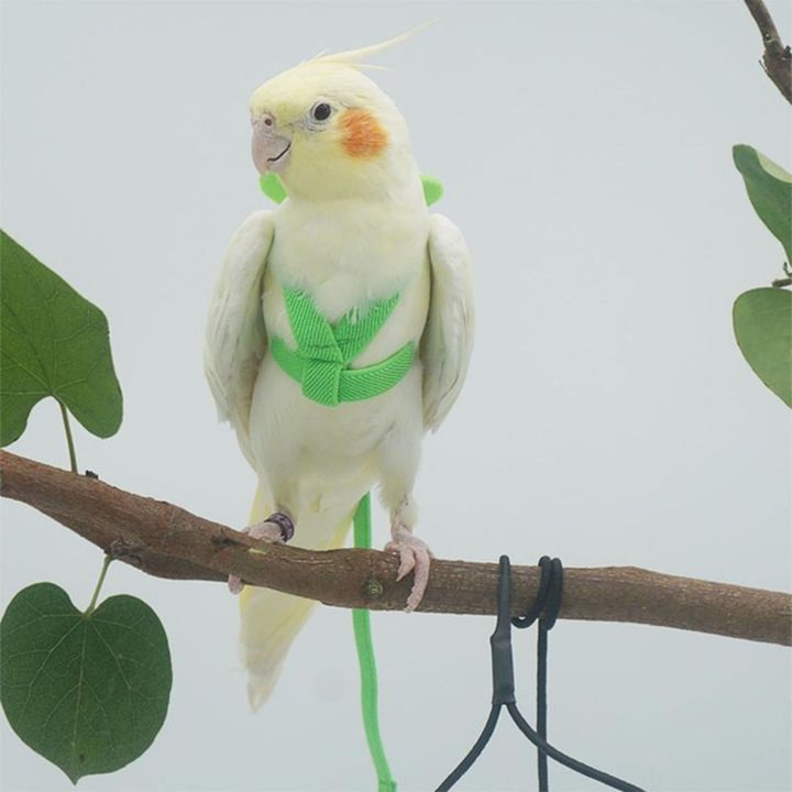 Budgie%20For%20Small%20Medium%20Birds%20Adjustable%20Outdoor%20Rope%20With%20Wing%20Bird%20Harness%20Bird%20Nylon%20Flight%20Training%20Rope%20Bite%20Bird%20Traction%20Belt%20-%20Image%209