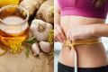 Garlic with Bee Honey for Weight Loss and Immunity Boosting 250g 100% Natural Honey & Garlic. 