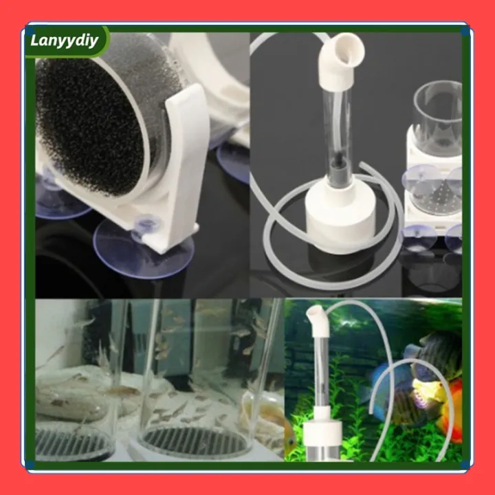 VibeVendor%20Fish%20Egg%20Incubator%20Special-shaped%20Ornamental%20Fish%20Hatchery%20Egg%20Tumbler%20For%20Aquarium%20Diameter%2050mm%20-%20Image%205