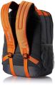 American Tourister Casual Backpack. 