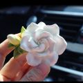 Fragrance Aromatherapy Gardenia Air Outlet Advanced Air Conditioning Vehicular Use Ten Li Car Car Interior Twilight Good Stuff. 