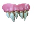 【HOT】 Fake Teeth For Werewolf Funny Accessories Cosplay Halloween Party Scary Horror Costume Horror Move. 