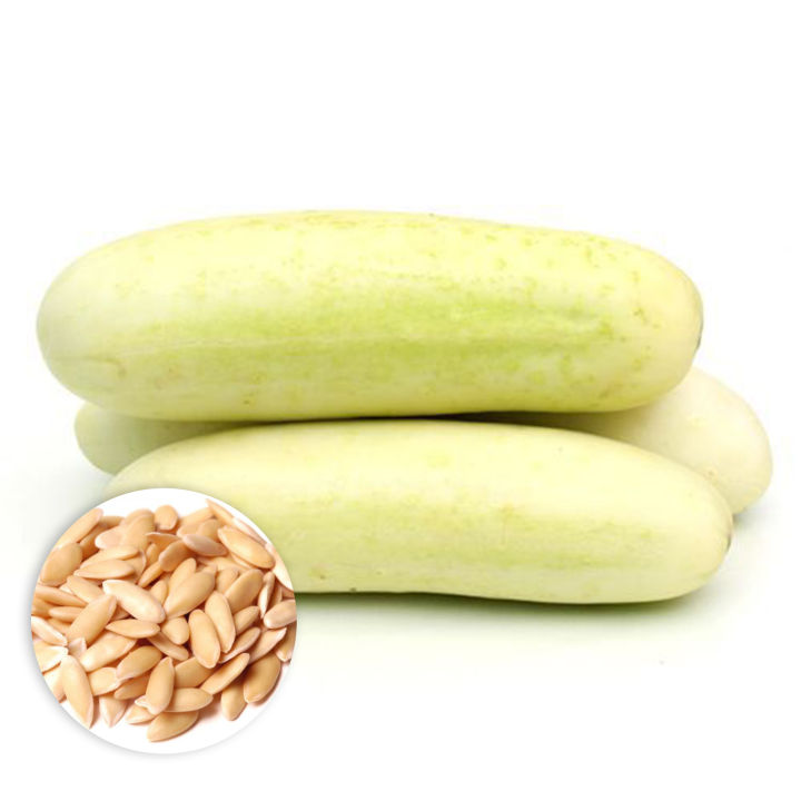 F1 Hybrid Cucumber Seeds 10 දෙමුහුන් පිපිඤ්ඤ බීජ
