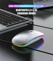 Bluetooth 5.2 Wireless Luminous Mouse Tablet Phone Computer 2.4GHz USB Charging Wireless Mouse 1600DPI Portable Gaming Mouse. 