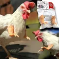Lovinland Fighting Chicken Arm Prank Chicken Arm Toy Dinosaur Hand Muscle Pet Chicken Arm. 
