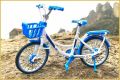 Beautiful New MODEL BICYCLE 1:8 Alloy Ladies Bicycle Model Simulation Bicycle Ornaments Die Casting Metal bicycle Toy, Collectors, displays. 