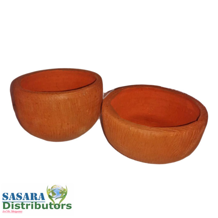 Cactus Flower Pot ( Handmade) 02 PCS