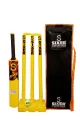 indoor cricket set[ speed brand]. 