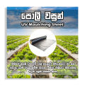 Agriculture Weed Control Mulching Sheet 400m X 1.2m Bocking Sunlight and Preventing Weed Seeds from Germinating. 