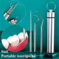 Portable Dental Tool Set Flossing Tooth Picking Tool Metal Stainless Steel Spiral Ear Pick Spoon Kit Oral Hygiene Tartar Removal. 