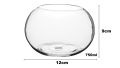 Small glass fish bowl 750ml(betta fish bowl). 