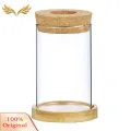 SuperRide Air Plant Propagation Jar Glass Planter with Wooden Tray for Hydroponic Plants Tabletop Propagation Vase for Air Plants Flower Cuttings Buyers' Favorite Hydroponic Plant Vase. 