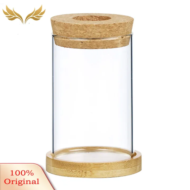 SuperRide Air Plant Propagation Jar Glass Planter with Wooden Tray for Hydroponic Plants Tabletop Propagation Vase for Air Plants Flower Cuttings Buyers' Favorite Hydroponic Plant Vase