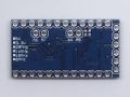 Arduino Pro Mini 328. 