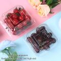 25 Pieces Clear Transparent Hinged Plastic Container Disposable Single Compartment Take Out Togo Boxes For Multi Purpose Usage Boxes 13x13cm. 
