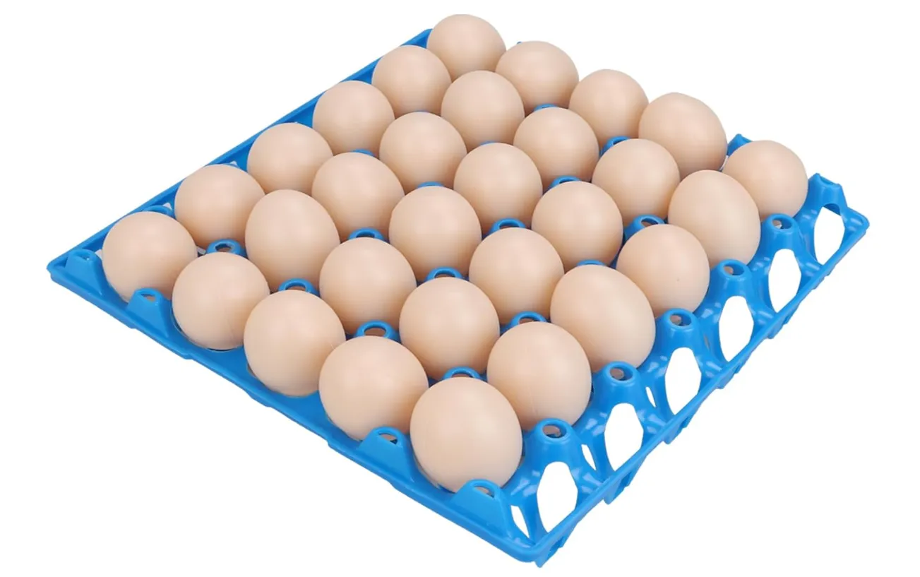 Stackable 30-Egg Plastic Tray for Storage and Transport