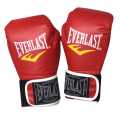 Everlast  Boxing Gloves. 