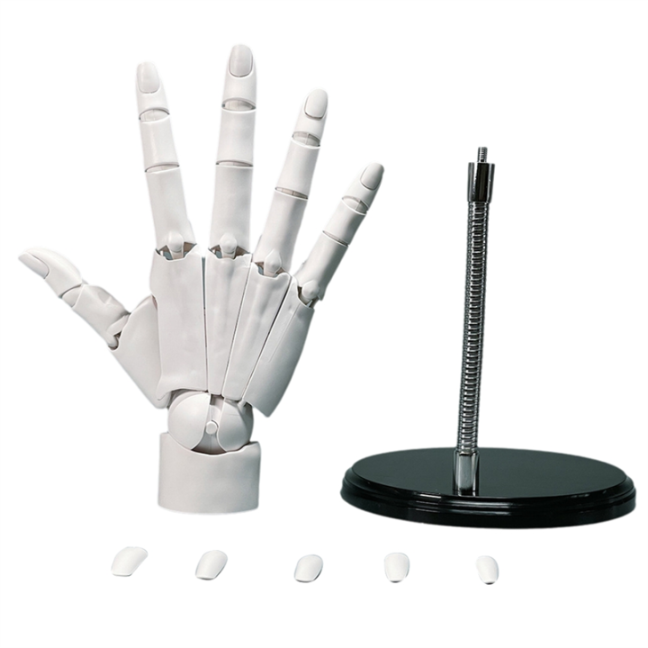Universal Flexible Hand Model, Movable Artist Mannequin Hand Shape, for Home Office Desk Decoration, Display A