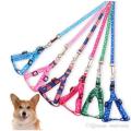 Large Size Dog harness and leash Printed colour. 