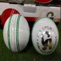 Ball CA Attack White Leather Cricket Ball - 156g (5 1/2 Oz). 