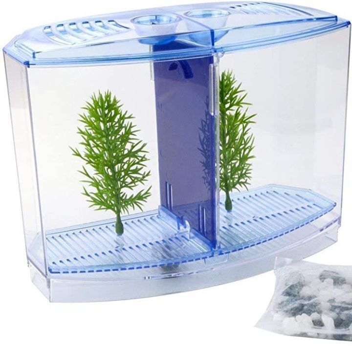 Fighter%20fish%202-Compartment%20Fish%20Tank%20Kit%20Aquarium%20Tank%20-%20Image%202