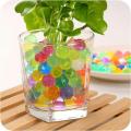 Magic Balls 600pc Pearl Crystal Soil Mud Plant Grow Balls Flower Plant Balls Orbiz Grow Jelly Water Balls Magic Hydrogel Bio Gel Beads Wedding Decoration Home Decoration Crystal Soil Water Beads in Daraz Flyer. 