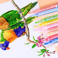 AICRANE Acrylic Paint Marker Pens Quick Dry waterproof for Rock Painting, shoes，Mug, Ceramic, Glass, Wood,Fabric,Canvas,Metal. 
