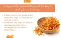 Mushroom Essence Cordyceps Militaris Dried Mushroom 35gms -Energy | peak performance|Fatigue Support - pack of 1 (FROM INDAI)SAB. 