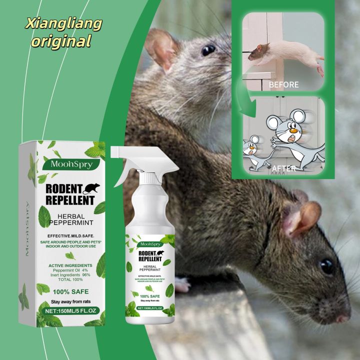 MOONSPRY Mint Flavored Rodent Repellent Spray Rat Repelling Outdoor ...