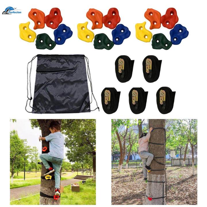 15x Climbing Holds with 5 Ratchet Straps Tree Climbing Training