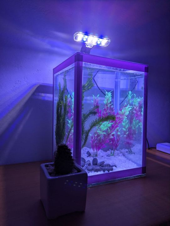 Large%20glass%20fish%20tank%20,%20white%20colour%20boder%20stiker.(12L%20Aquarium%20tank,Height%2040cm,width%2030cm%20x%2030cm)%20-%20Image%202