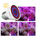 E27 5W 6W 8W 48/60/80LED Grow Lamp Plant Light Full Spectrum Growing Hydroponic Red, Blue, White ,Warm White 2835SMD Flower Bulb For Growth Garden Greehouse. 