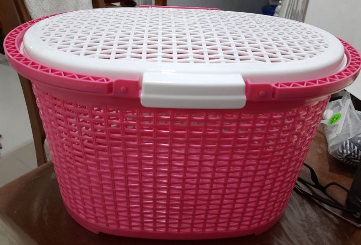 Daxer Rattan Plastic Baby Basket