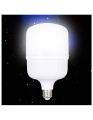 LED Bulb (50w). 