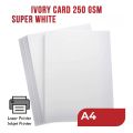 Ivory Board 250 GSM | A4 size | Fashion Design | Craft | Packaging | Drawing| Printer paper. 