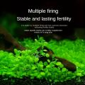 10 Grams of Aquarium Plant Seeds Soil Water Aquatic Plant Love Grass Substrate Soil Decor Fish Tank grass seeds  Aquarium Plants Aqua Soil Aquatic Plant Seeds Water Grass Seeds for Aquarium Landscaping Decoration. 