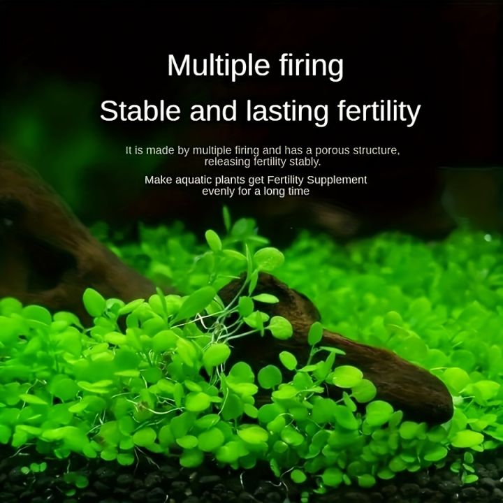 10%20Grams%20of%20Aquarium%20Plant%20Seeds%20Soil%20Water%20Aquatic%20Plant%20Love%20Grass%20Substrate%20Soil%20Decor%20Fish%20Tank%20grass%20seeds%20%20Aquarium%20Plants%20Aqua%20Soil%20Aquatic%20Plant%20Seeds%20Water%20Grass%20Seeds%20for%20Aquarium%20Landscaping%20Decoration%20-%20Image%202
