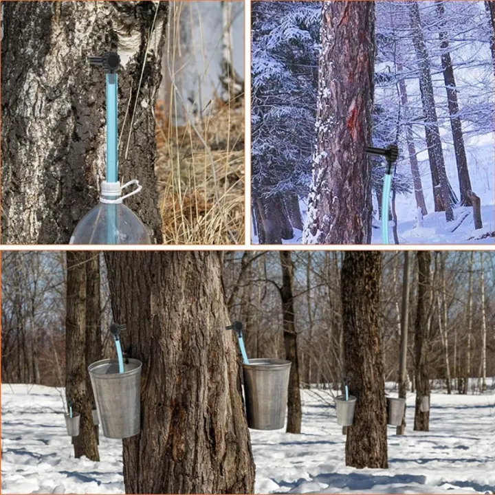 Maple%20Syrup%20Tapping%20Kit%20Maple%20Tap%20and%20Food%20Grade%20Dropper%20Extractor%20-%20Image%205